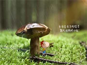2025考研好就业专业推荐